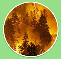 Fire Mitigation